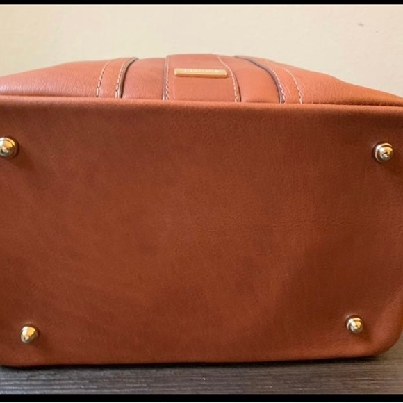 Brahmin - Picture 4 of 6